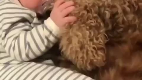 baby slept with your dog