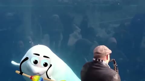 Little Girl And Cute Dolphin