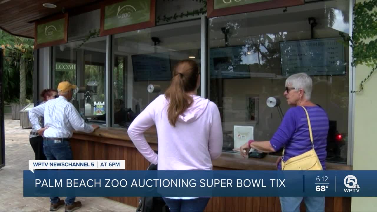 Palm Beach Zoo accepting bids for two Super Bowl tickets