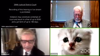 “I’m Not A Cat” – Watch What Happened During A Court Case