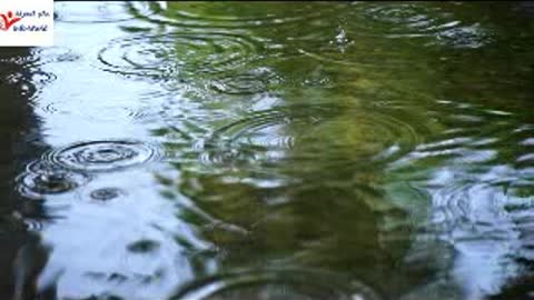 rain falling on the water