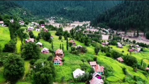 Kashmir Nelum valley ❤️💚💙💙💙💚