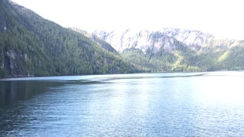 Inlet to Punchbowl Cove Mistry Fjords National Monument, Ketchican, Alaska