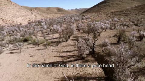 INITIATION TO AMAZIGH MUSIC AND DANCE