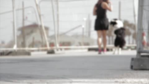 A beautiful girl and a nice black white dog,