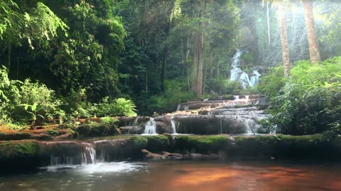 Flying- Sleep Music & Relaxing Nature Sounds In A Gorgeous Forest