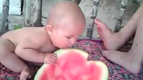 BABY LOVES WATERMELON!!