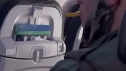 This guy reportedly kept a french fry in his mouth for the entire 1.5 hr flight