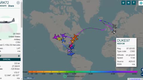 Gitmo & Iceland Activity White Birds JAG55 66 Update