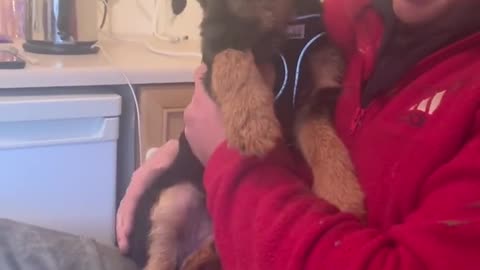 Vocal Pup Makes The Cutest Sounds You''ll Ever Hear