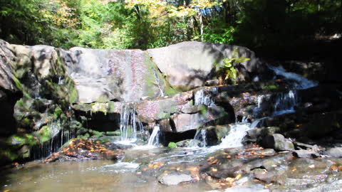 Lower Tier of Pendleton Falls, WV