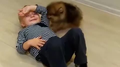 child, dog, little, cute