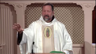 Daily Readings and Homily - 2021-07-26 - Fr. Mark