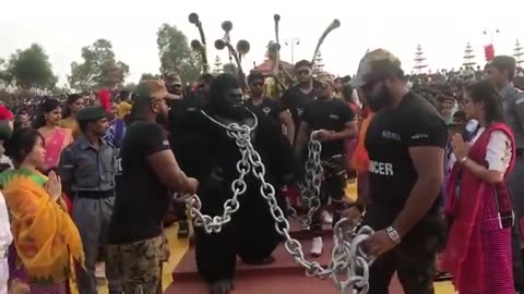 King kong(gorilla) show at alvas virasath 2018.