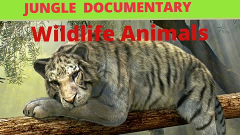 Wildlife animals/Jungle documentary/Forest animal