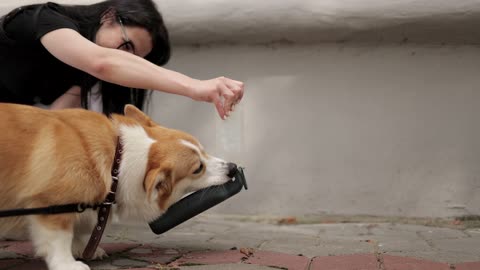 Woman Giving Water to her Dog