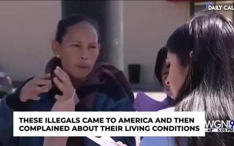 TheDC Shorts - When Illegals Come to the USA and Complain...