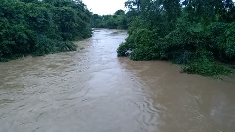 A lot of flooding in the river