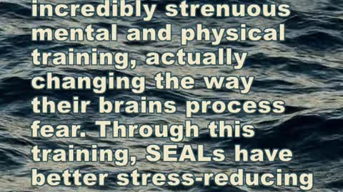 US Navy SEALs Have Trained Their Brains To Process Fear Differently