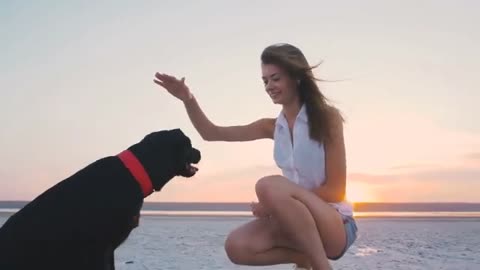 Top 10 Differences Between Male And Female Dogs