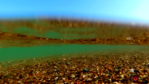 Warren Dunes Under Water Footage.