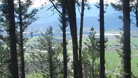 My walk at Hillkeep regional park, Chilliwack, BC