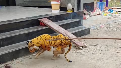 Fake tiger prank on dog (must watch this one)