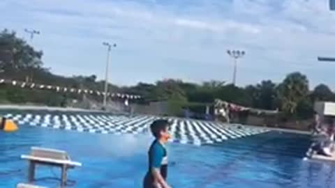 Guy black white shorts diving board belly flop