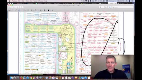 Get Into the Mitochondria And Add These Nutrients To Prevent Chronic Disease! (Hint=meat) 294