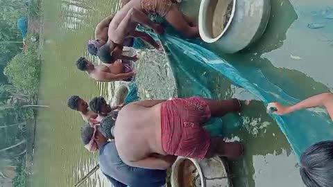 Amazing fishing by Net fishermen Catching Fish by Net