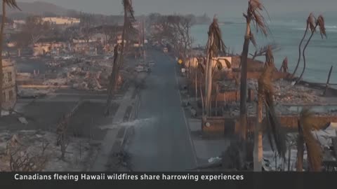 Hundreds of Canadians return from Maui with stories of devastation