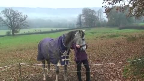 Owner Has Been Away For Weeks, Watch The Horse’s Reaction !