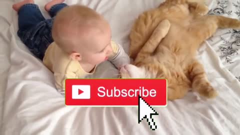 BABY and CAT play for the first time and that's it ...