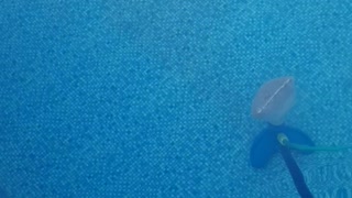 Cleaning a swimming pool with 1 hand in 10 min