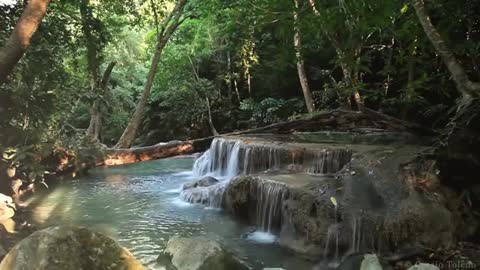 rainforest sounds water sound nature meditation