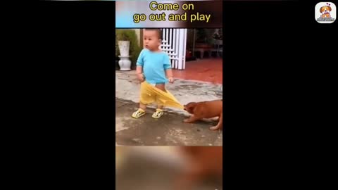 funny animal videos 2022 😂 - best dogs and cats videos 😺😍 #9 - animal network animal network