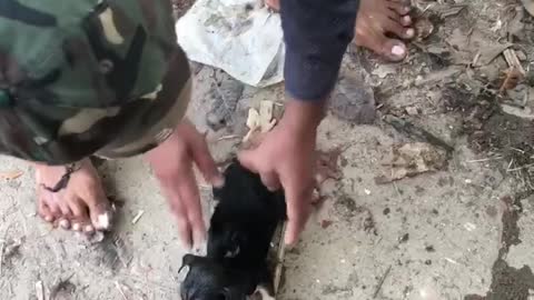 Kind Men Rescue A Drowning Puppy