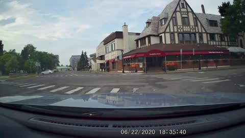 Skunk Family Using Crosswalks in Niagara Falls