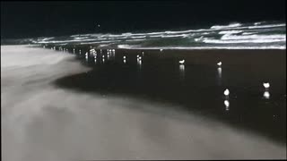 Strong Winds Blow Sand Along Beach Surface