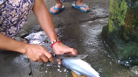 Kids Freaks Out Over Fish