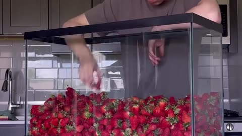 Can You Eat 10,000 Strawberries?