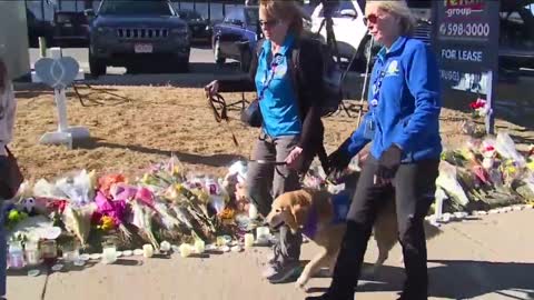 Golden retrievers provide comfort to those at Club Q memorial