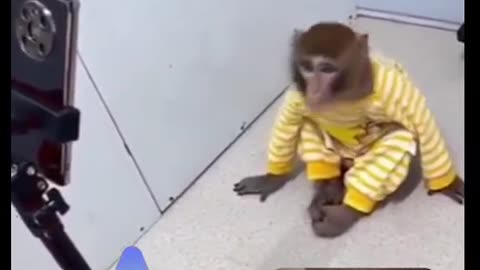 The monkey started dancing after seeing his photo in the mobile camera.