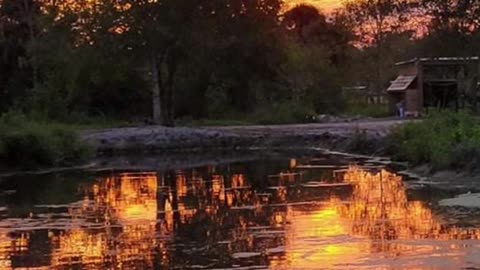 Conquer Ranch's Spring feed pond