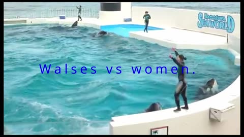 Whales and women are playing excellently.