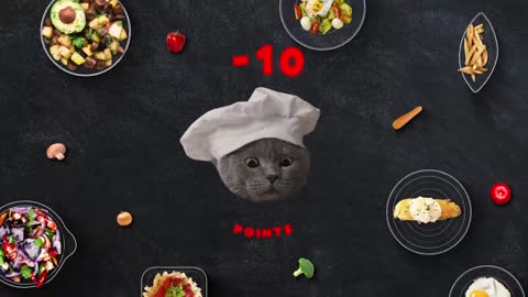 The Cat Cooking Show 2