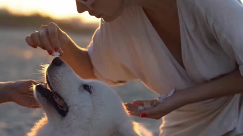 cute girl training her dog