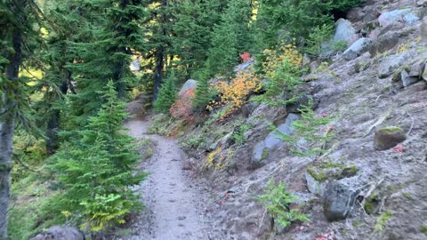 Oregon – Mount Hood – Exploring the Alpine Forest – 4K