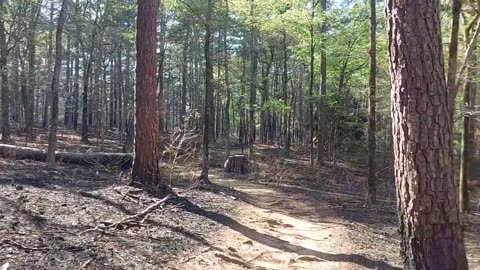 BIG Pine Trail burning Mission Tejas S.P. TX