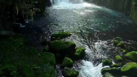 The Serenity of Jungle Waterfalls and Streams.